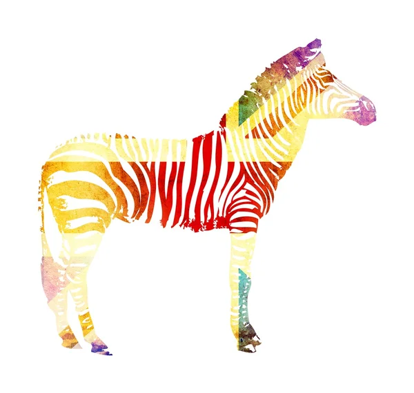 Bandeira de zebra isolada no fundo branco — Fotografia de Stock