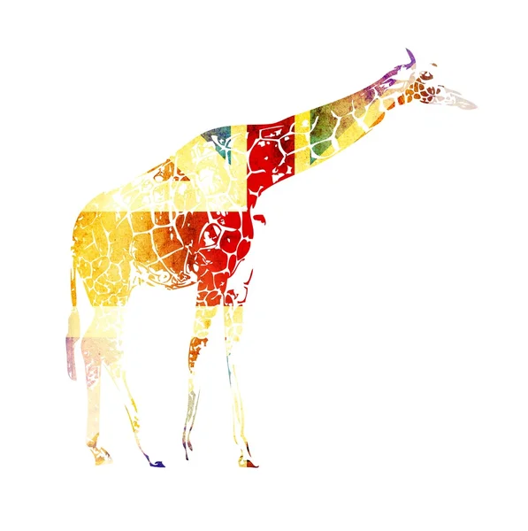 Zürafa izole üzerinde beyaz arka plan bayrak — Stok fotoğraf