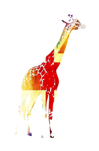 长颈鹿旗上孤立的白色背景 — 图库照片