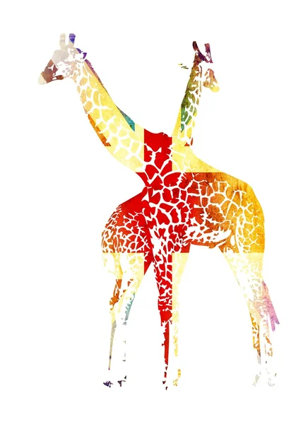 Bandeira da girafa isolada no fundo branco — Fotografia de Stock