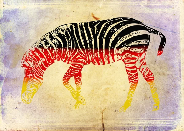 Zebra Flaga na białym tle na tło vintage — Zdjęcie stockowe