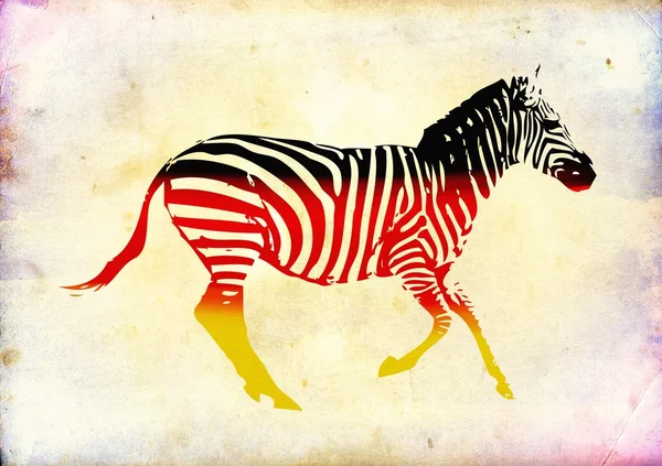 Zebra flagga isolerade på vintage bakgrund — Stockfoto