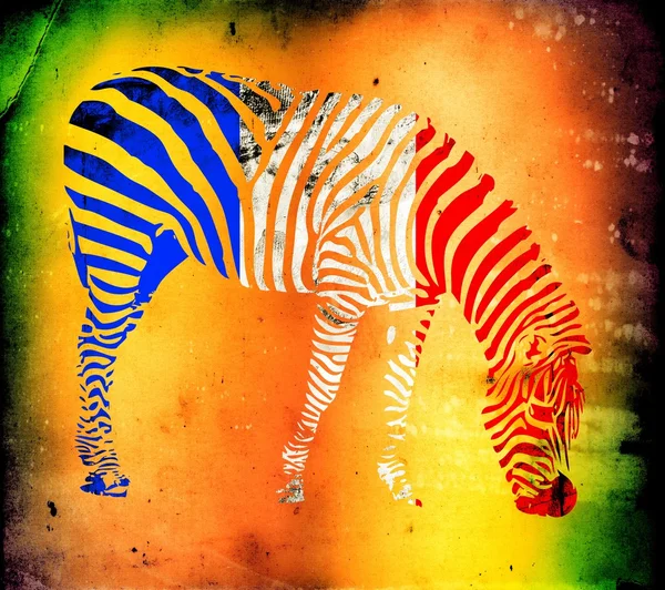 Zebra zászló elszigetelt a vintage háttér — Stock Fotó