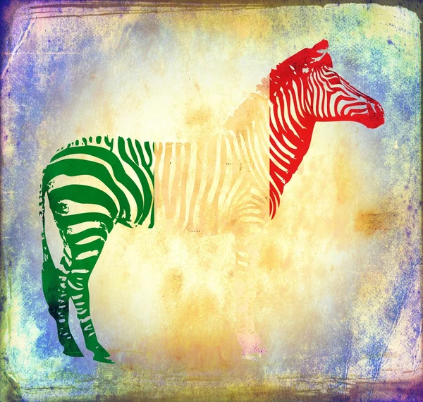 Zebra zászló elszigetelt a vintage háttér — Stock Fotó