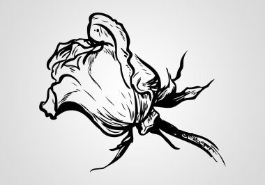 farklı arka plan üzerinde çiçek şekil