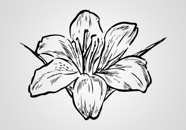 farklı arka plan üzerinde çiçek şekil