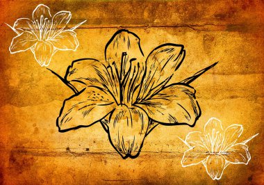 farklı arka plan üzerinde çiçek şekil