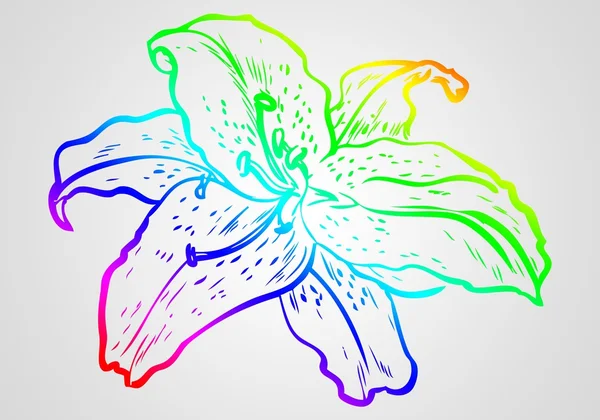 Flower illustration on different background — Stock Photo, Image