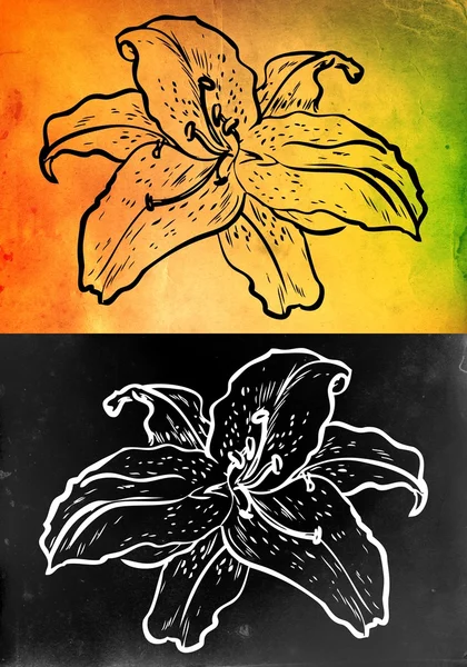 Illustration de fleurs sur un fond différent — Photo