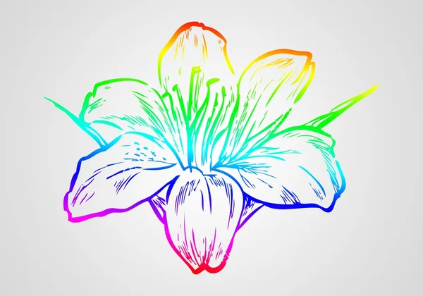 Flower illustration on different background — Stock Photo, Image