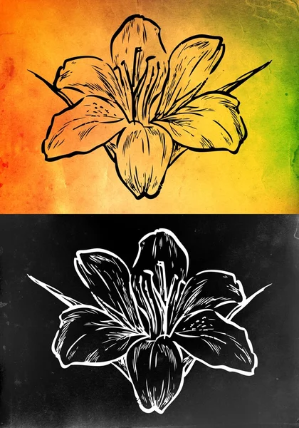 Illustration de fleurs sur un fond différent — Photo