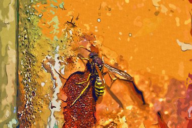 soyut renk tasarımı sanat illüstrasyonu