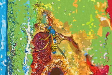 soyut renk tasarımı sanat illüstrasyonu