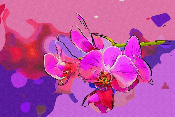 Umění ilustrace květin — Stock fotografie