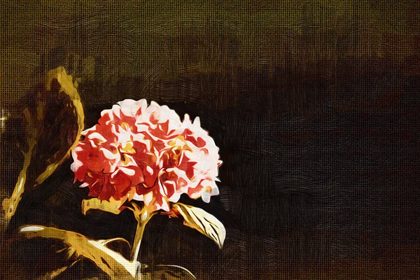 Vintage Hintergrund mit Kunst Illustration Blume — Stockfoto