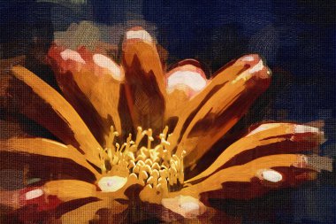 Sanat illüstrasyonu çiçekli klasik arkaplan