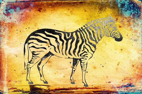 Zebra diisolasi pada ilustrasi latar belakang vintage . — Stok Foto