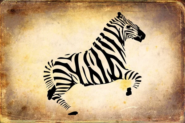 Antika arka plan illüstrasyon izole zebra. — Stok fotoğraf