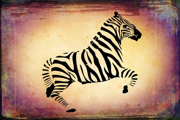 Zebra na białym tle na tło vintage. — Zdjęcie stockowe