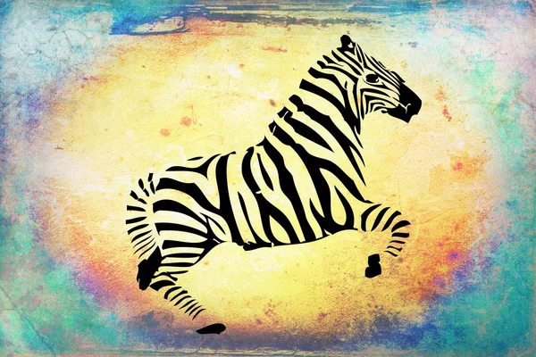 Zebra na białym tle na tło vintage. — Zdjęcie stockowe