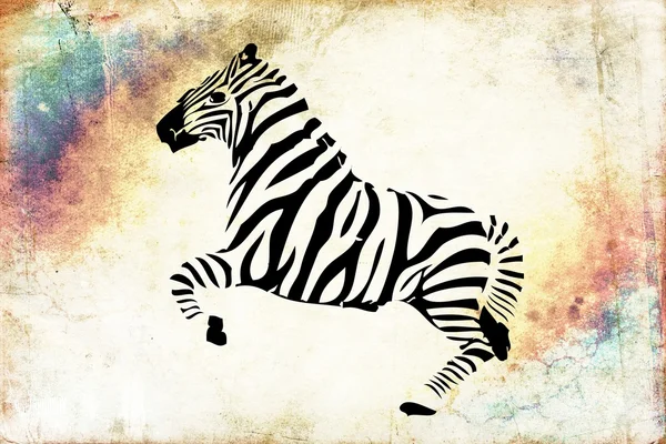 Zebra isolado no fundo do vintage ilustração . — Fotografia de Stock