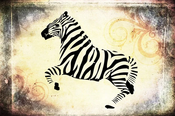 Zebra isoliert auf Vintage-Hintergrund-Illustration. — Stockfoto