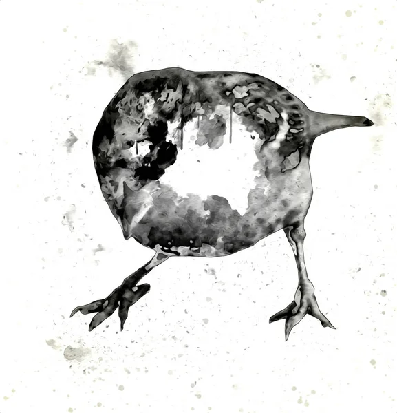 Passero Uccello Vintage Illustrazione Arte Disegno Schizzo Antico Retrò Vecchio — Foto Stock