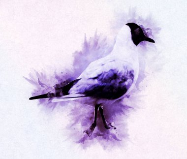 Atlantik beyaz deniz kuşu gökyüzünde uçar. Plaj martısı. Deniz kuşları, martı çizgi film çizimleri.