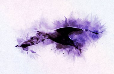 Atlantik beyaz deniz kuşu gökyüzünde uçar. Plaj martısı. Deniz kuşları, martı çizgi film çizimleri.