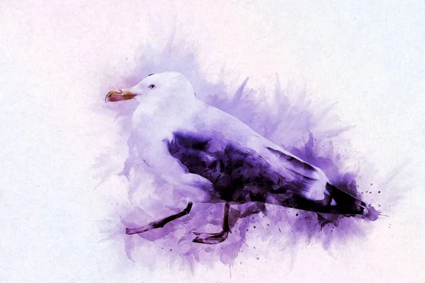 Atlantens Vita Sjöfågel Flyger Mot Himlen Strandmås Sjöfåglar Mås Tecknad — Stockfoto