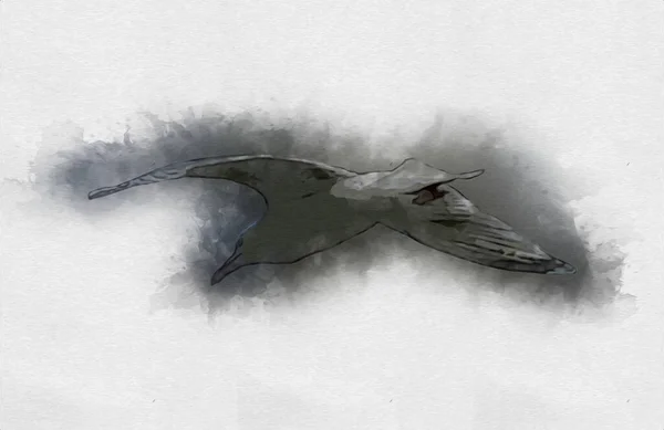Atlantische Weiße Seevögel Fliegen Himmel Strandmöwe Seevögel Möwe Cartoon Art — Stockfoto