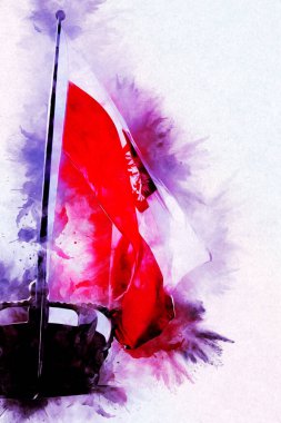 Polonya, izole edilmiş arkaplan resimlerine bayrak sallıyor.
