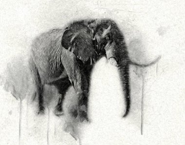 Fil sanatı illüstrasyonu eski moda.