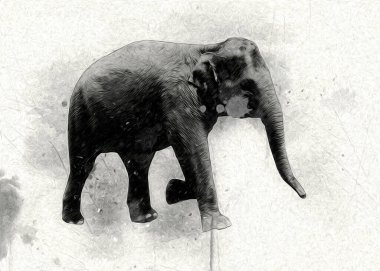 Fil sanatı illüstrasyonu eski moda.