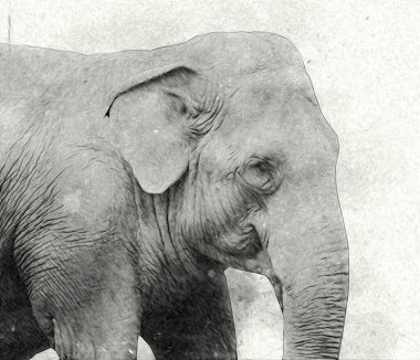 Fil sanatı illüstrasyonu eski moda.