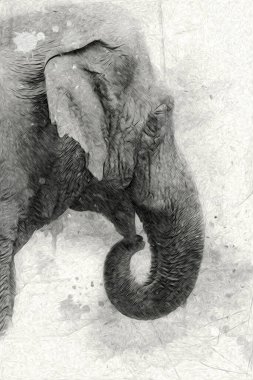 Fil sanatı illüstrasyonu eski moda.