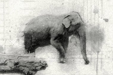 Fil sanatı illüstrasyonu eski moda.