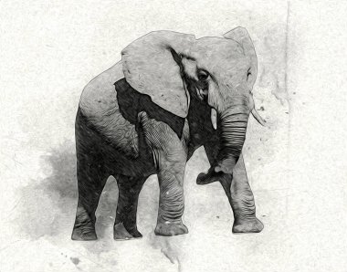 Fil sanatı illüstrasyonu eski moda.
