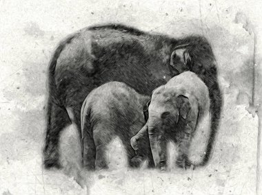 Fil sanatı illüstrasyonu eski moda.