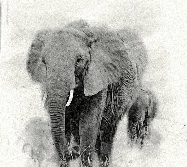 Elephant art illustration retro vintage old