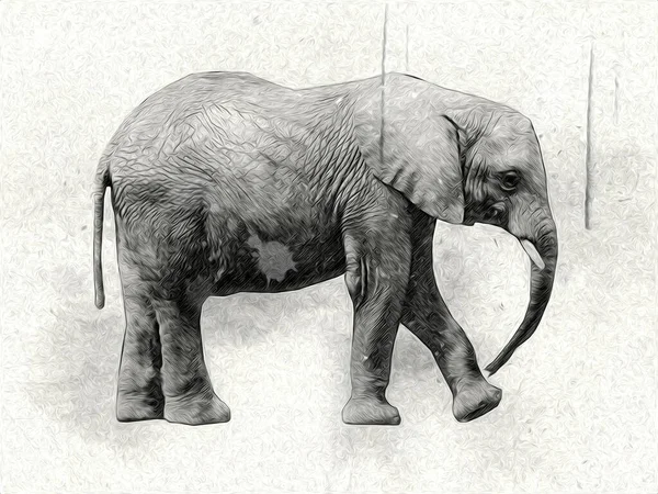 Elefante Arte Ilustração Retro Vintage Velho — Fotografia de Stock