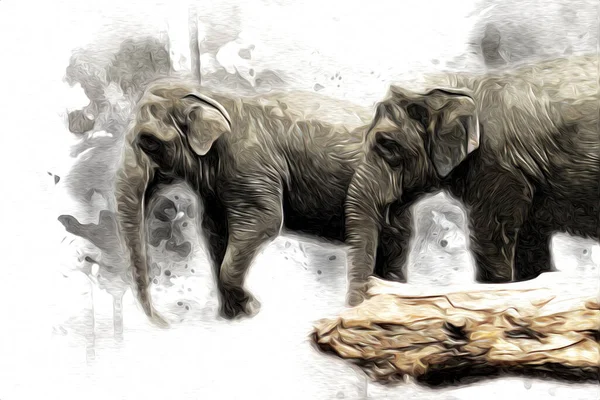 Elefante Arte Illustrazione Retrò Vintage Vecchio — Foto Stock