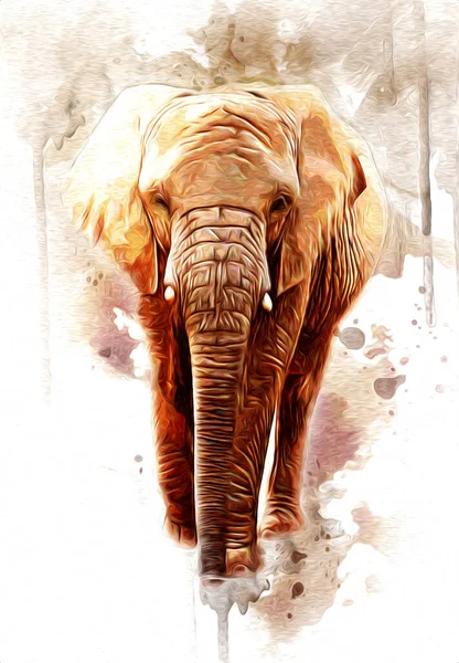 Elephant Kunst Illustratie Retro Vintage Oud — Stockfoto