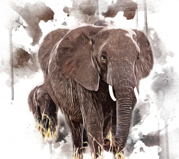 Elephant art illustration retro vintage old