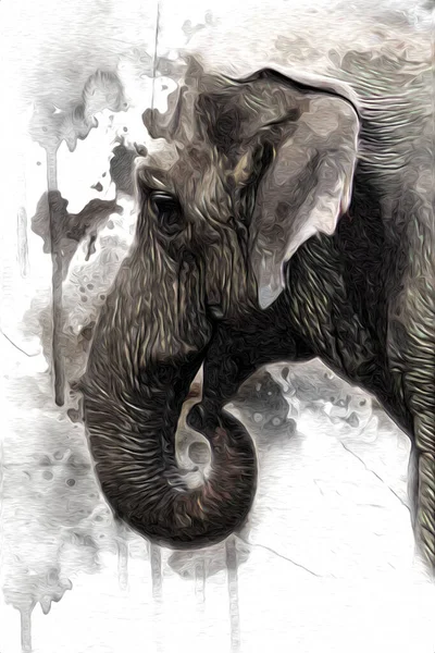 象のアートイラストレトロヴィンテージ古い — ストック写真