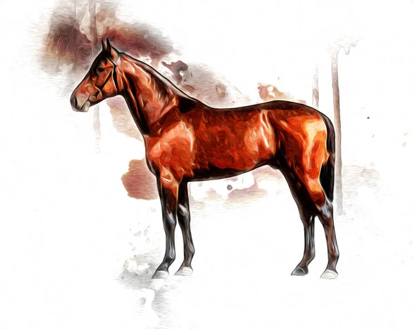 Colorful horse art illustration grunge painting