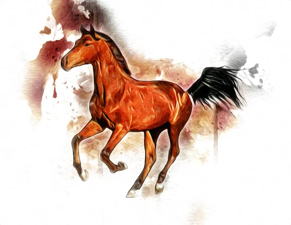 Illustration Art Cheval Coloré Peinture Grunge — Photo