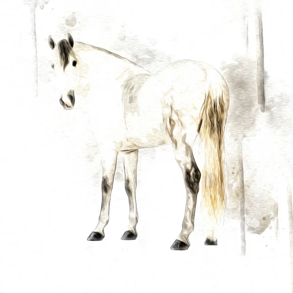 Colorido Caballo Arte Ilustración Grunge Pintura —  Fotos de Stock