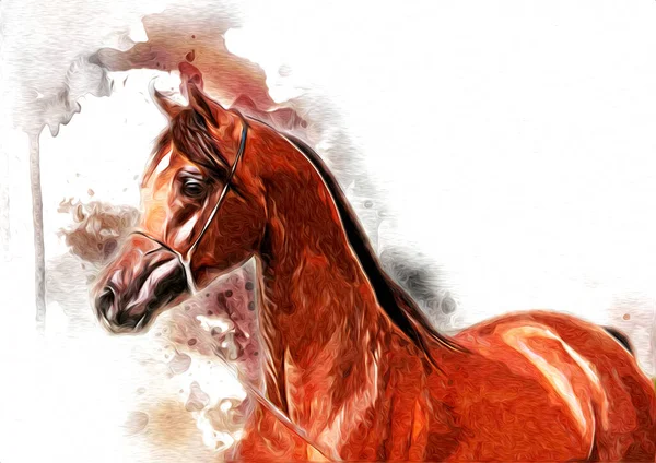 Colorido Caballo Arte Ilustración Grunge Pintura —  Fotos de Stock