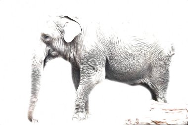 Fil sanatı illüstrasyonu eski moda.